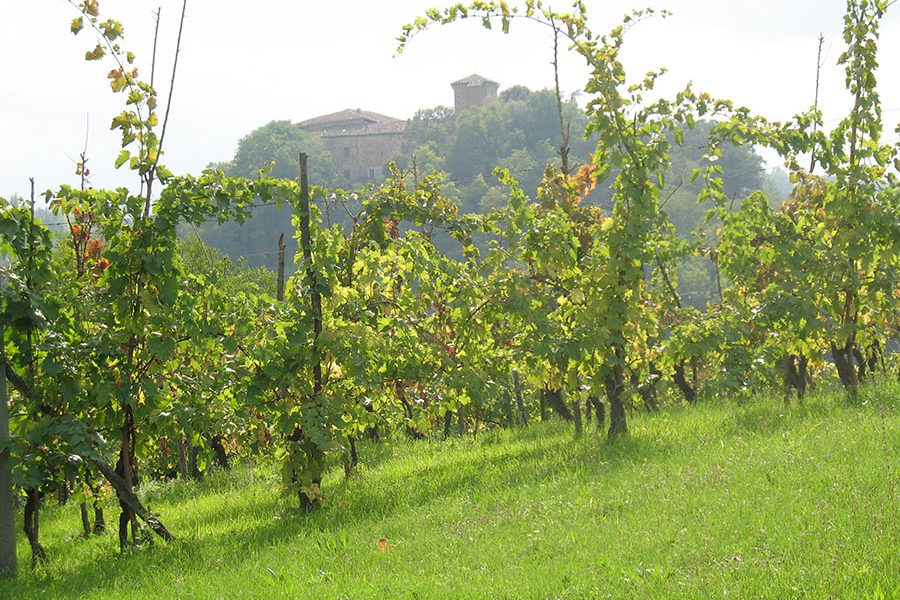 Alìe - FRESCOBALDI (Toscana) 750ml x 6btl