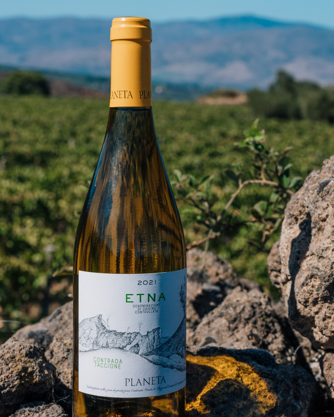 Etna Bianco Contrada "Taccione" - PLANETA 750ml x 1 bottle