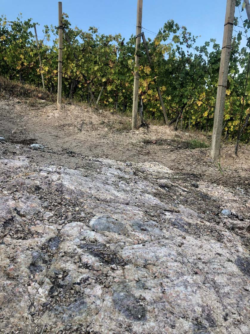 Alìe - FRESCOBALDI (Toscana) 750ml x 6btl