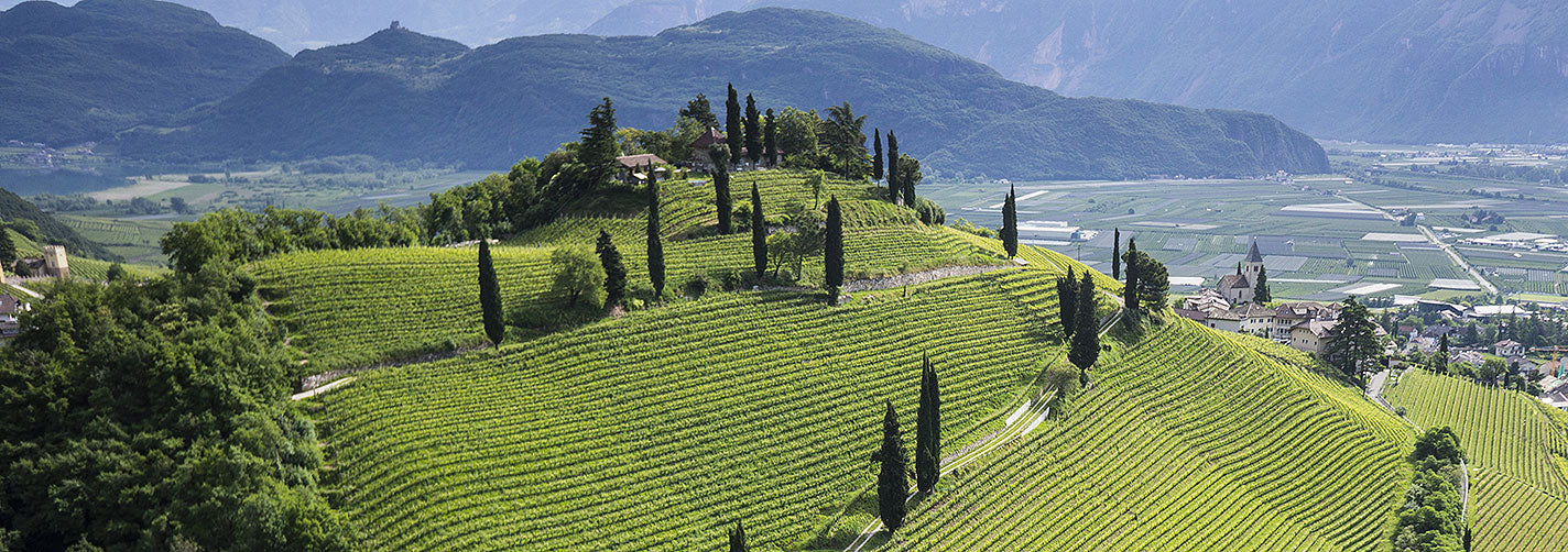 “アトン” ピノ・ノワール・リゼルヴァ  - ELENA WALCH (エレナ・ヴァルヒ)  750ml x １本