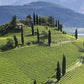 Carapace - Tenute Lunelli (Umbria) 750ml x 6btl