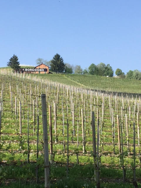 Alìe - FRESCOBALDI (Toscana) 750ml x 6btl