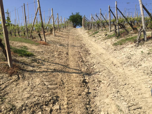 Alìe - FRESCOBALDI (Toscana) 750ml x 6btl