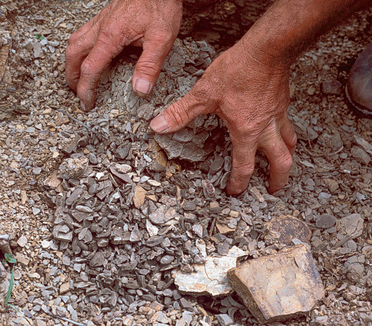 テッレ・アルテ 2018 - Livio Felluga（リヴィオ・フェッルーガ）750ml x １本