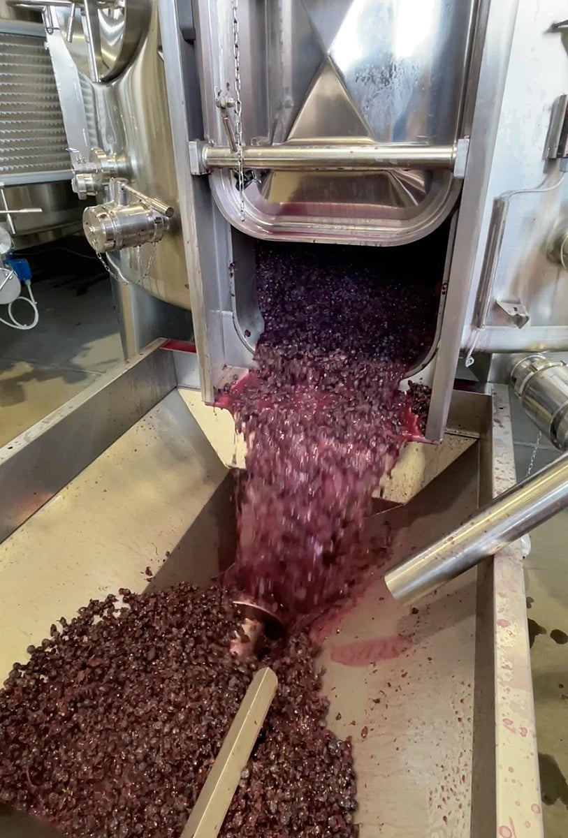 Alìe - FRESCOBALDI (Toscana) 750ml x 6btl