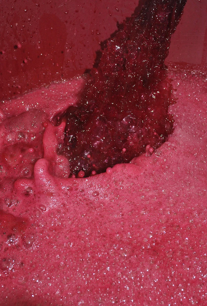 Alìe - FRESCOBALDI (Toscana) 750ml x 6btl